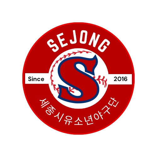 세종시 로고