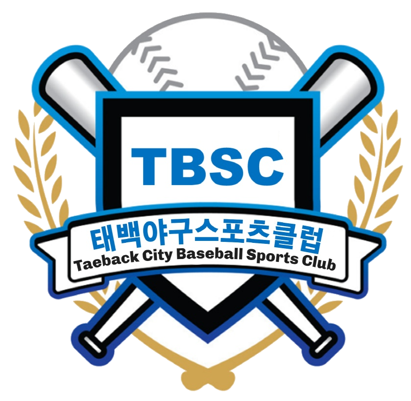 태백시 로고
